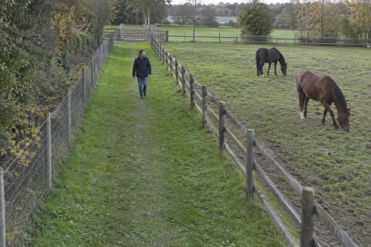 Bande de protection extérieure longeant une clôture de paddock, avec équipements de détection éloignés du parcours des chevaux
